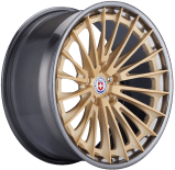 HRE l S209H