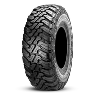 ACCELERA MT-01 OWL