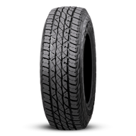 ACCELERA Omikron A/T LT