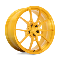 NICHE l KANAN FORGED
