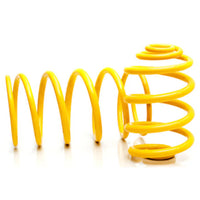 KING SPRINGS I SUPER LOW COIL REAR