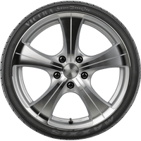 MAXXIS | VS01 VICTRA SPORT