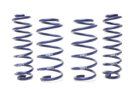 H&R ADVENTURE LIFT SPRINGS