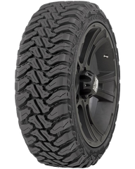 Accelera l MT-01