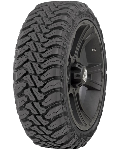 Accelera l MT-01