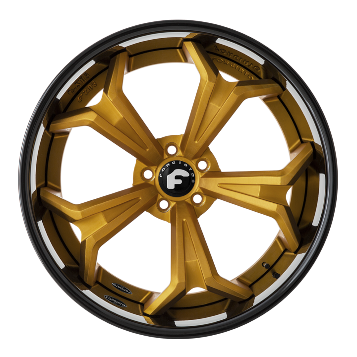 FORGIATO I 2.0 EXOTIC - F2.09
