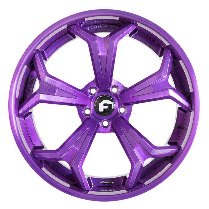 FORGIATO I 2.0 EXOTIC - F2.09