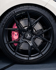 ENVIZIO l EFS4